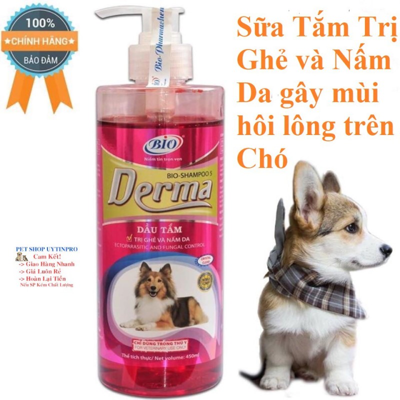 SỮA TẮM CHO CHÓ Bio Derma Loại Bỏ Ghẻ và Nấm Da Gây Nên Triệu Chứng Hôi Lông Rụng Lông Chai 450ml Xuất xứ Việt Nam