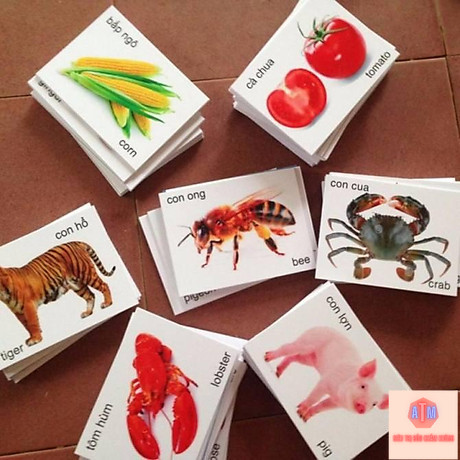 Bộ thẻ học thông minh 16 chủ đề gồm 416 thẻ song ngữ cho bé từ 2 tuổi trở lên
