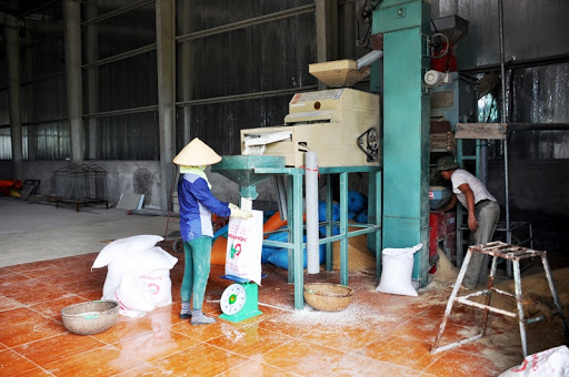 Gạo nếp cái hoa vàng - Gói 1 kg