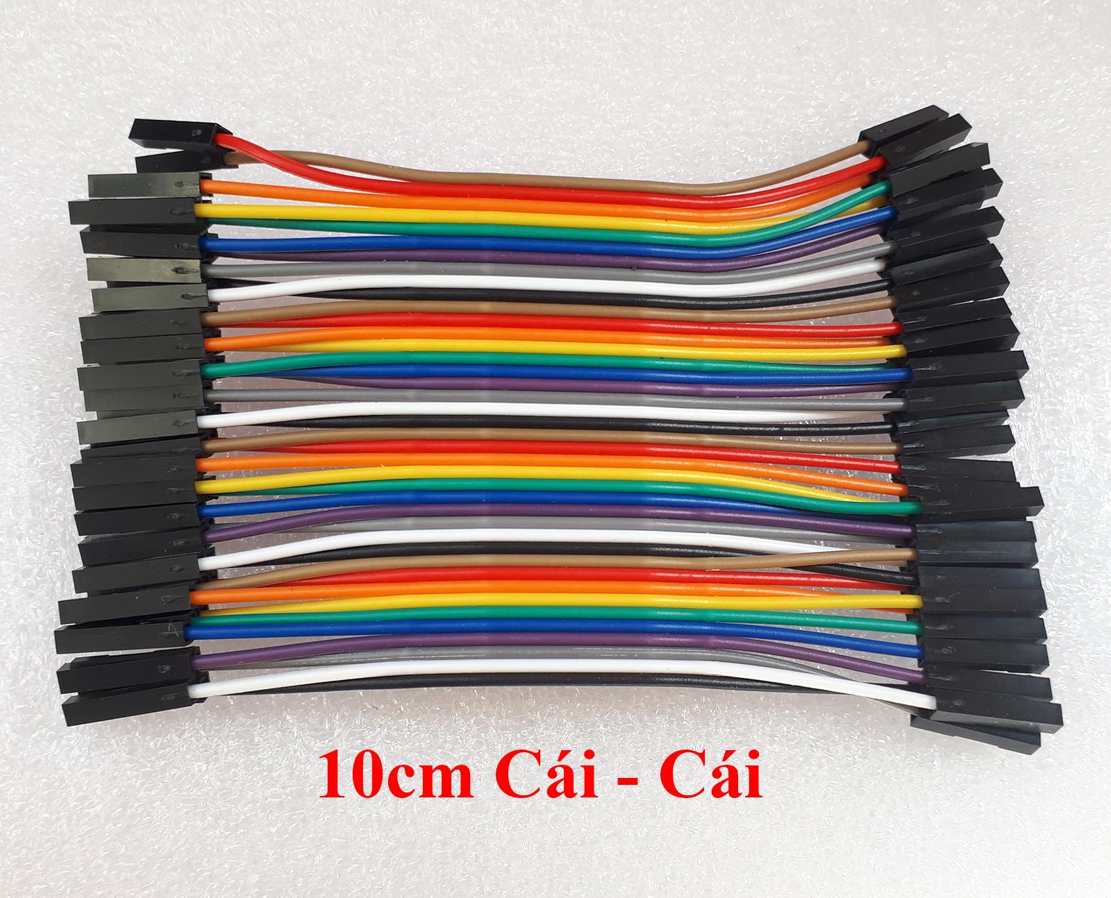Dây bus 2.54 ( đực -cái) 10cm - bẹ 40 sợi