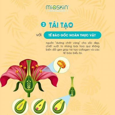 Xịt dưỡng Mioskin Plus te bào goc
