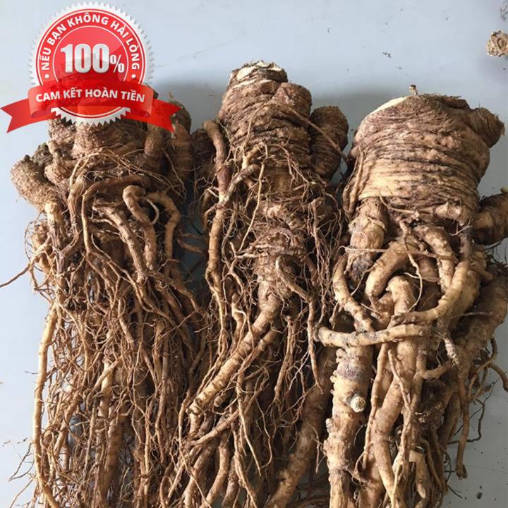 [HCM]Sâm đương quy khô - CAO CẤP 1KG