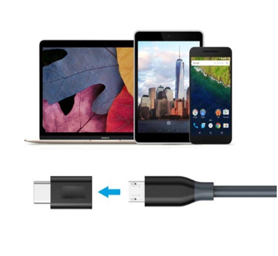 Đầu chuyển đổi chân Micro USB (Cái) sang Type C