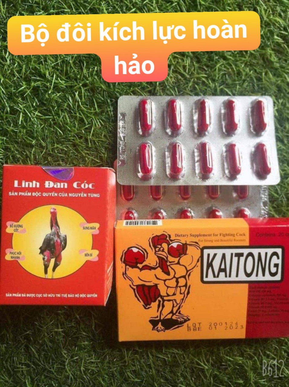 Linh Đan Cóc lọ 120 viên