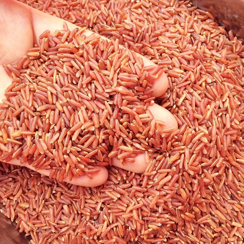 gạo lức huyết rồng