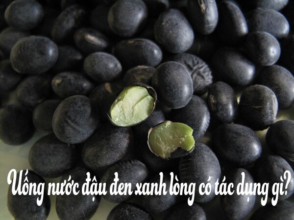 500g hạt đậu đen xanh lòng