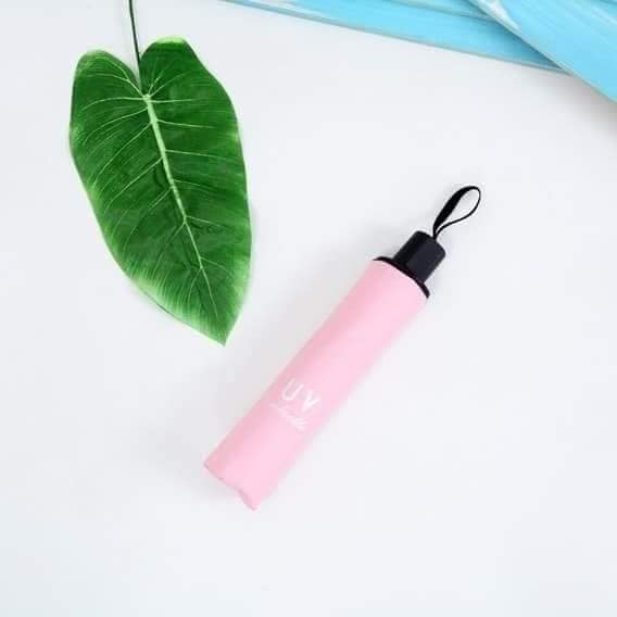Ô DÙ CHỐNG TIA UV - MẪU HOT NHẤT