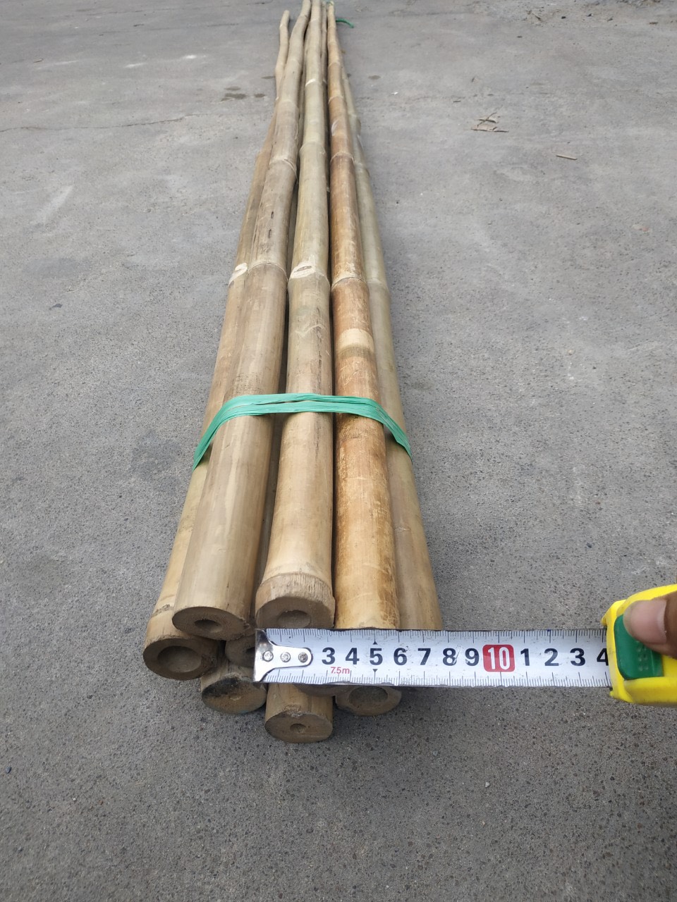 [HCM]Cây tre tầm vông dài 1m