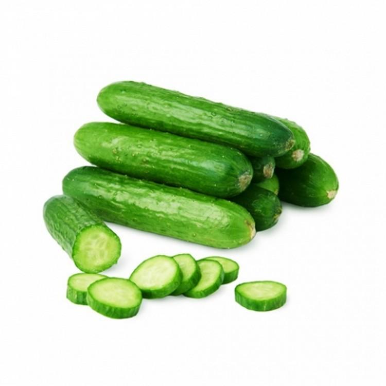 1g Hạt giống Dưa leo (tặng Kích nẩy mầm, Hướng dẫn ươm)