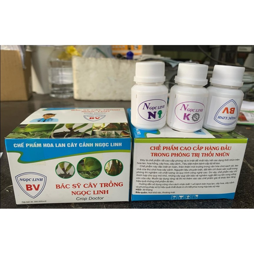 Bố Sản Phẩm Trị Nấm, Thối Nhũn Cho Lan (Bác Sĩ Cây Trồng Ngọc Linh)