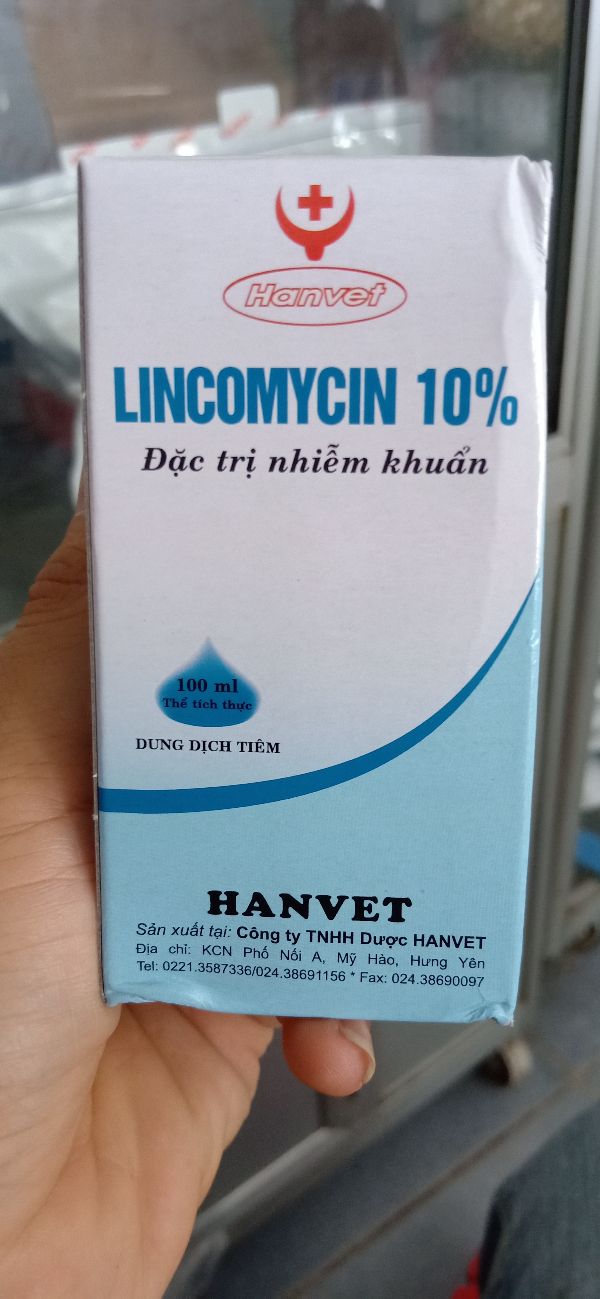Lincomycin 100Ml Đặc T rị Nhiễm Khuẩn - 307