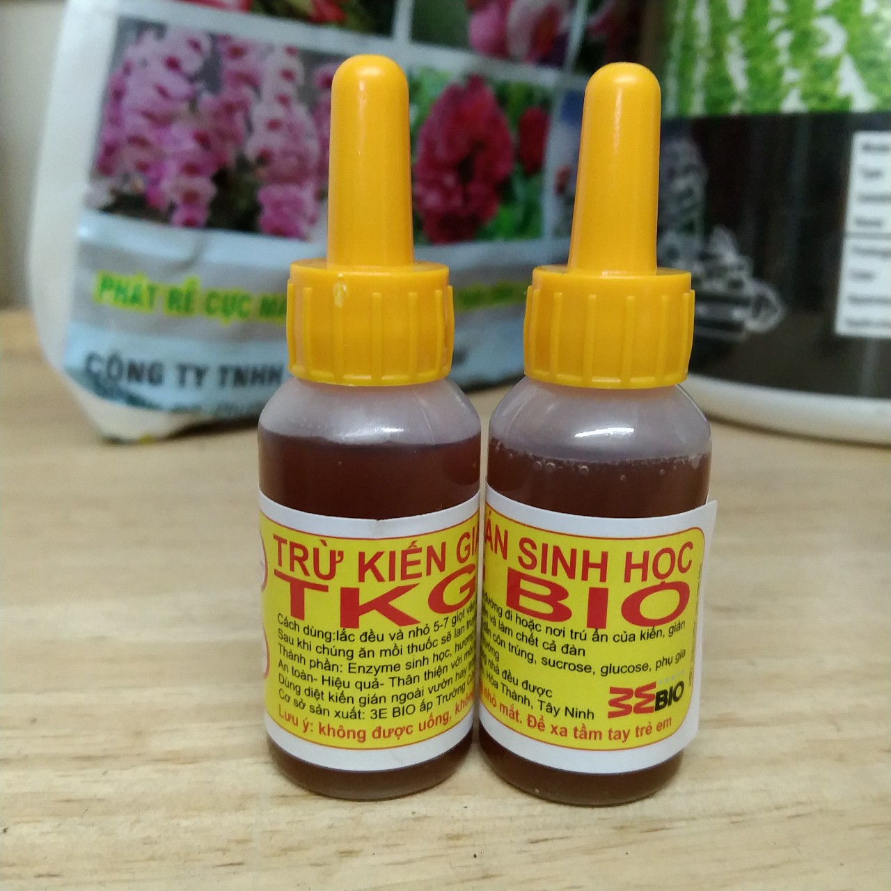 Chế phẩm diệt kiến, diệt gián công trùng sinh học lọ 10ml TKG BIO