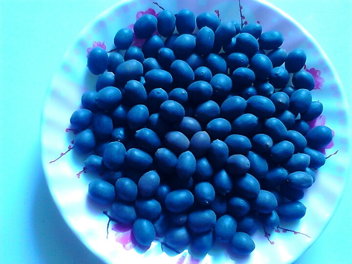 Hạt sen khô đen Đồng Tháp 500g