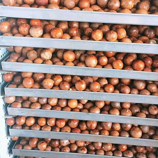 Combo 10 kg hạt macca Lâm Đồng sấy