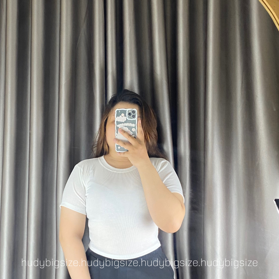 BIGSIZE ( 60-80KG) - ÁO CROPTOP THUN GÂN CỔ TRÒN BASIC