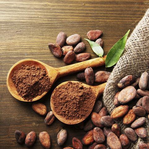 Bột cacao sấy lạnh hữu cơ Terrasoul 454g