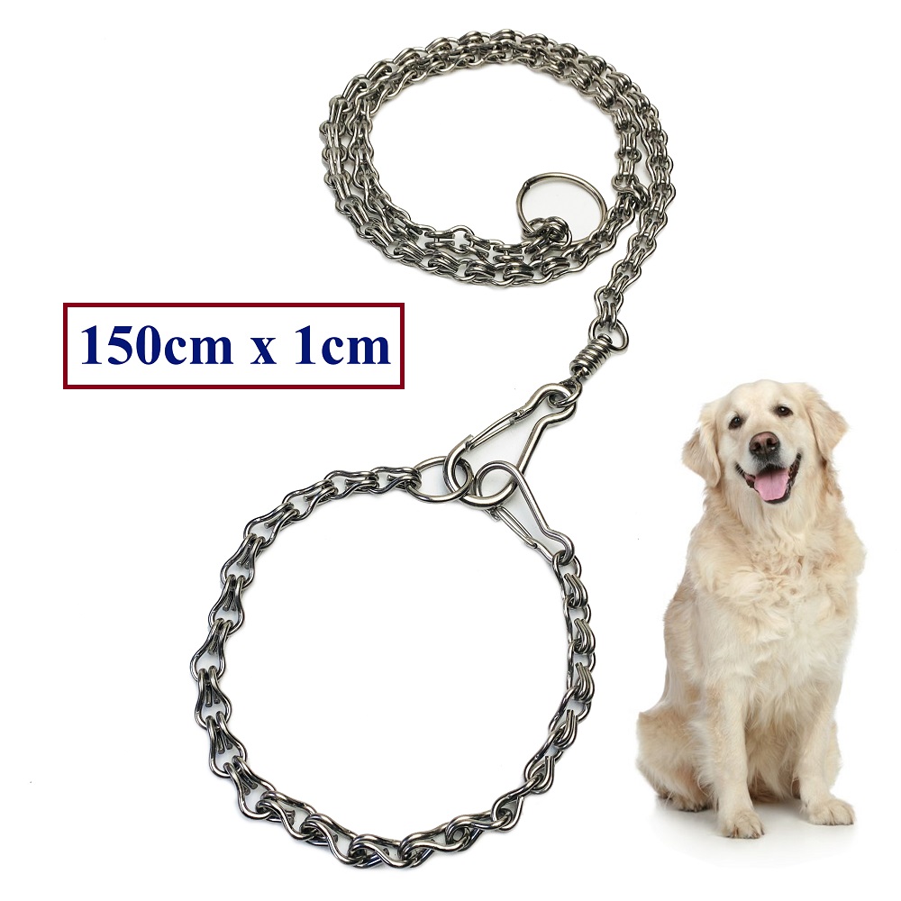 Dây xích inox dắt thú cưng kèm vòng cổ