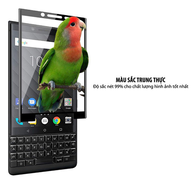[HCM]Miếng dán cường lực Blackberry Key2 / Key2 LE trong suốt