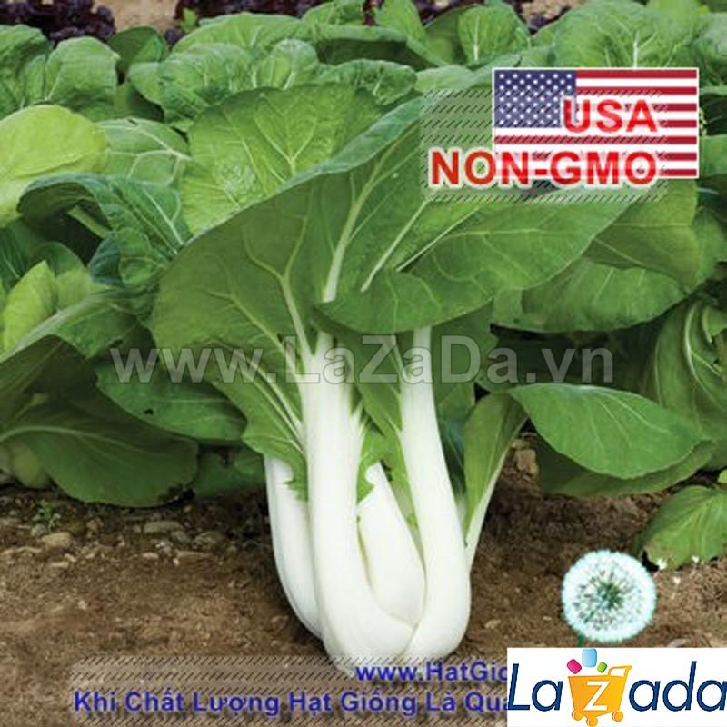 50h Hạt Giống Cải Thìa Chịu Nhiệt 1kg Joi Choi (A1.206| C20*W24*M224)