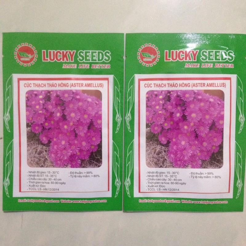 Hạt giống Hoa thạch thảo cao Mix Màu ( 50Hạt/gói )