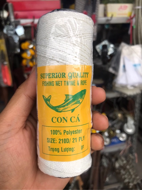 Nhợ con cá cuộn lớn và nhỏ