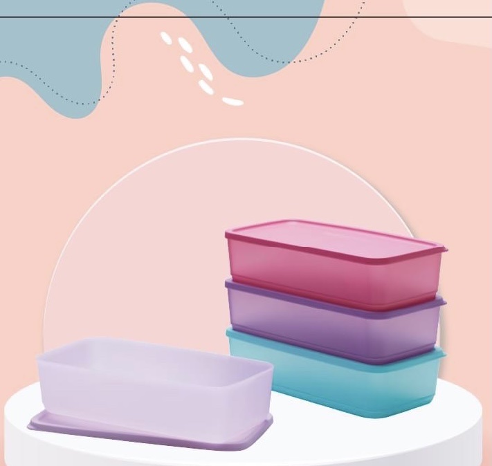 Hộp Bảo Quản Thực Phẩm Tupperware Pak N Stor (set 4)
