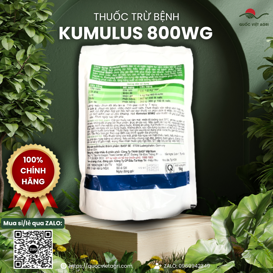 Thuốc trừ bệnh KUMULUS 80WG (gói 1KG) - Sulfur 800g/kg Trừ bệnh phấn trắng, ghẻ sẹo, nhện đỏ, nhện gié