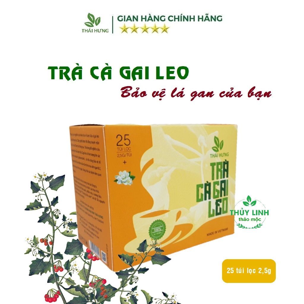 Trà Cà gai leo Thái Hưng (Hộp 25 túi lọc x 2,5g) Mát gan, thải độc gan
