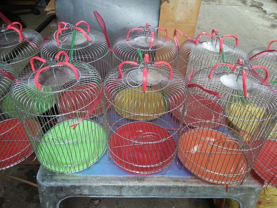 Lồng kẽm nuôi chim sâu