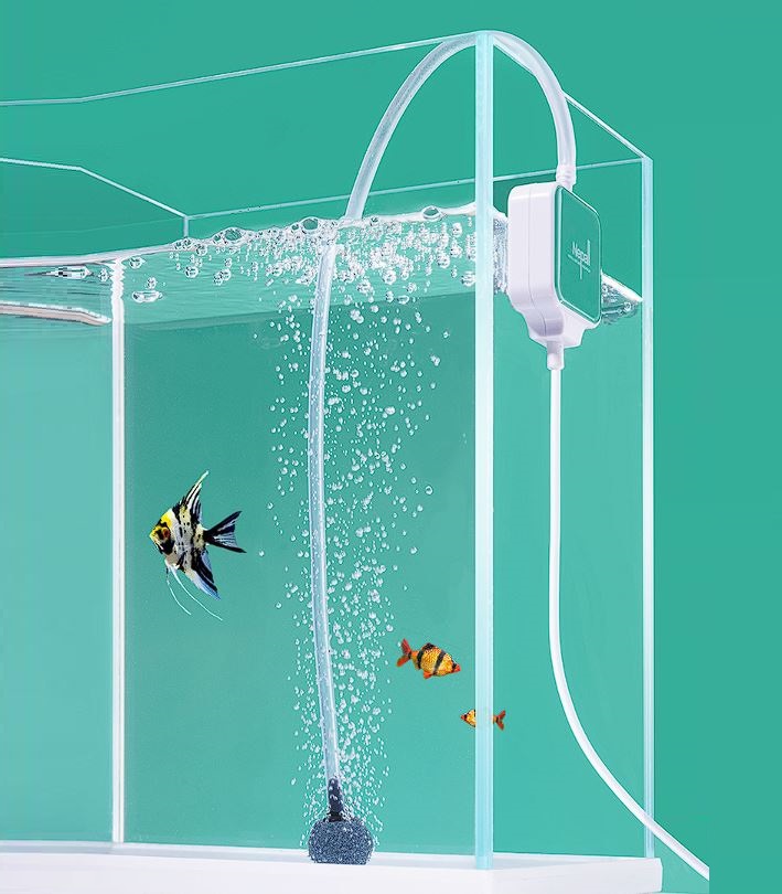 Sủi siêu êm Nepall dùng cho bể cá để phòng ngủ (full đồ)