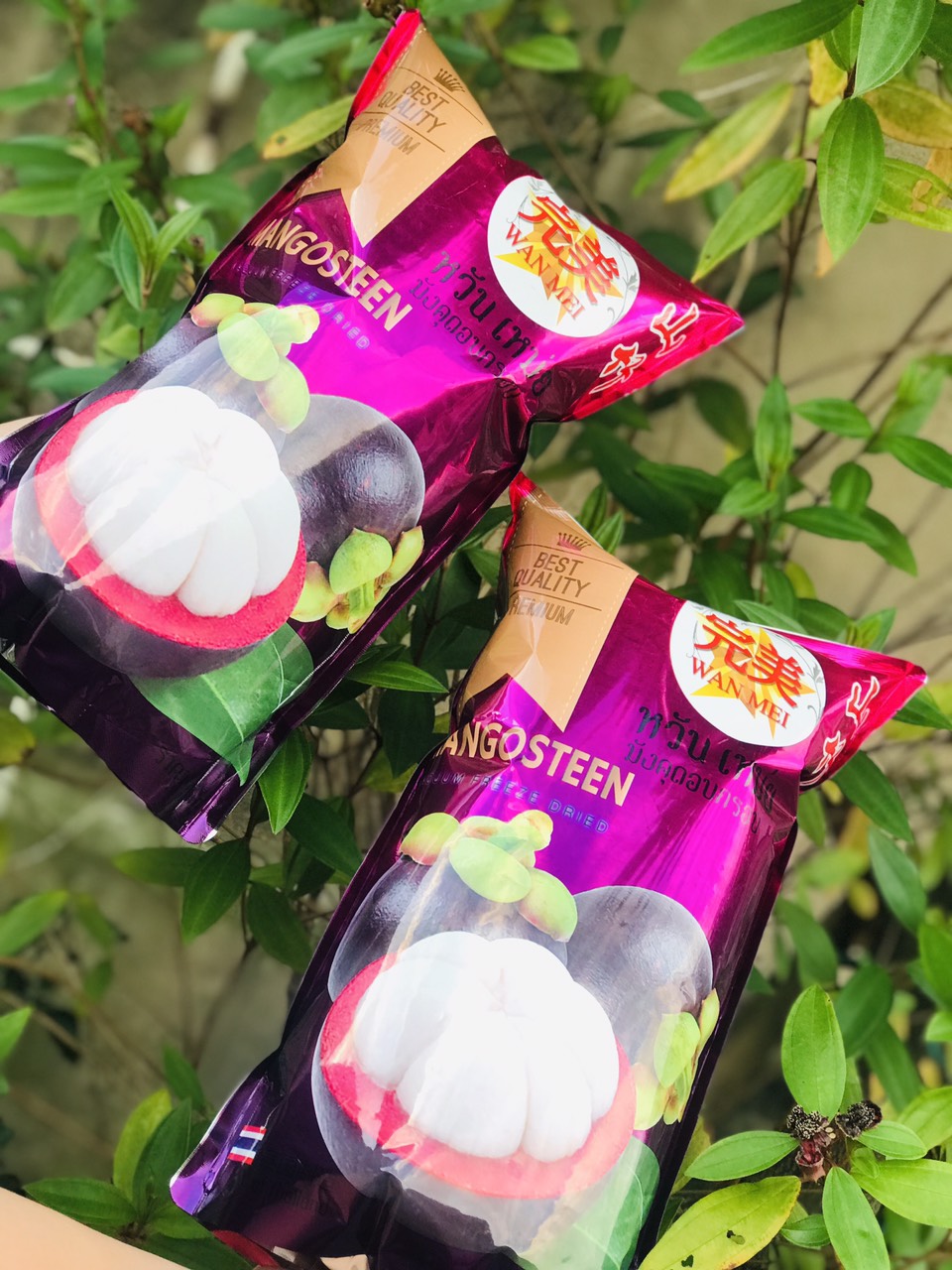 Măng Cụt Sấy Lạnh ( Sấy Giòn) Túi 6 Gói Nhỏ