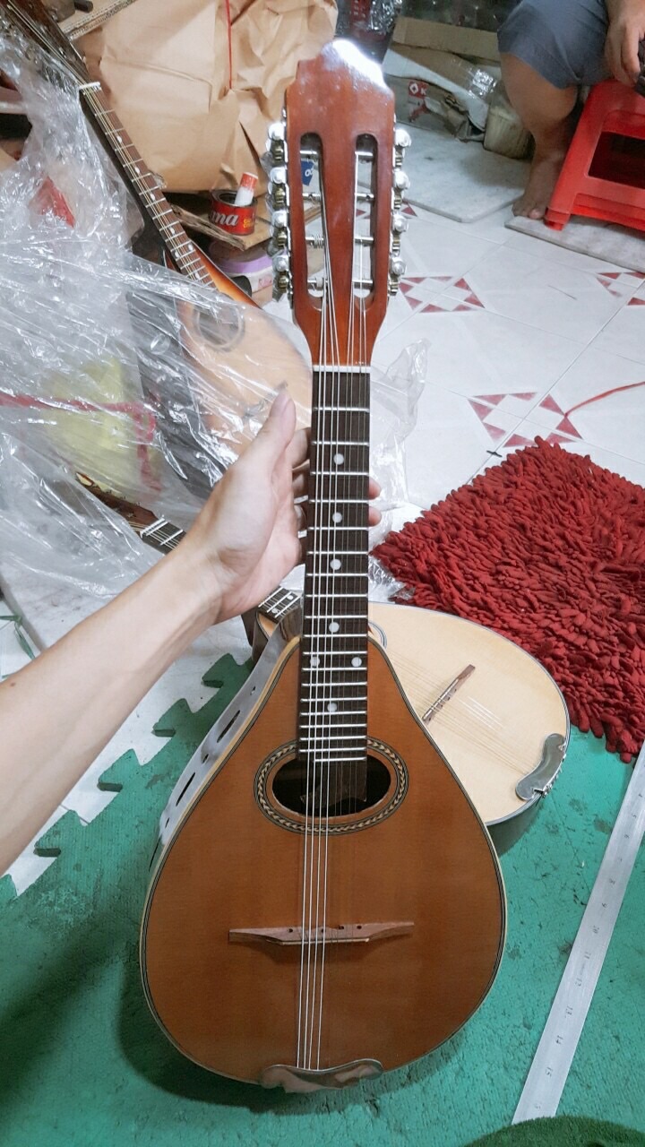 [HCM]Đàn Mandolin gỗ hồng đào chỉ kè