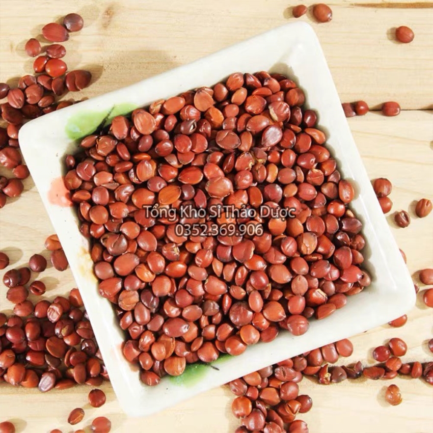 Táo Nhân 100g (Toan Táo Nhân)