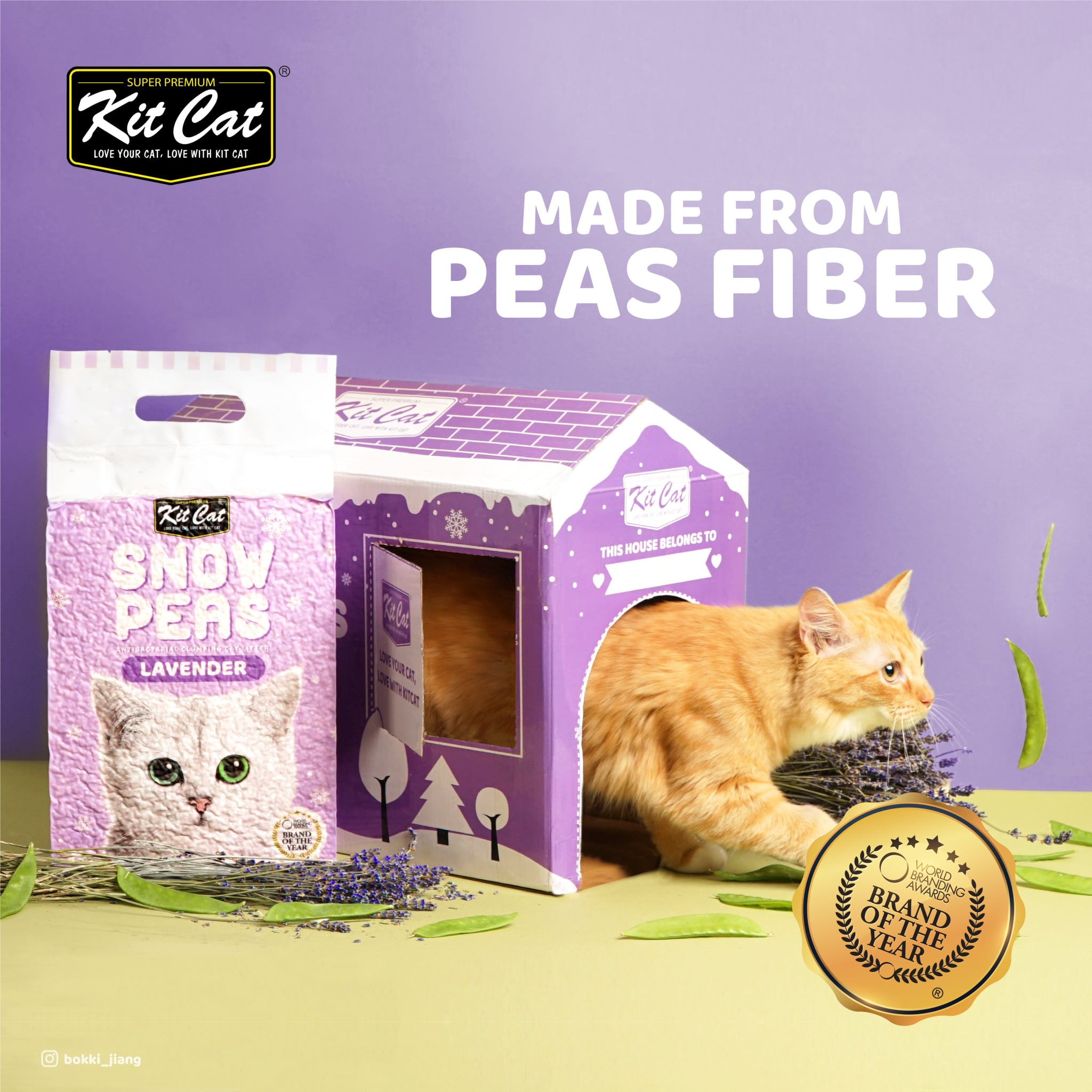 KITCAT SNOW PEAS - CÁT VỆ SINH CHO MÈO