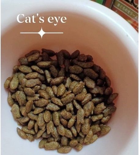 Thức ăn hạt CATSRANG cho mèo mọi lứa tuổi TÚI 1KG
