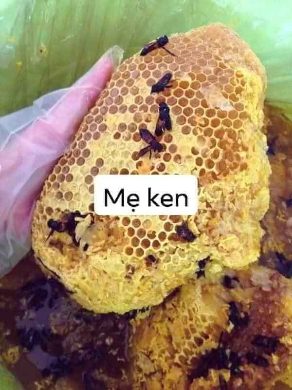 MẬT ONG RỪNG NGUYÊN CHẤT MẸ KEN- 1 LÍT