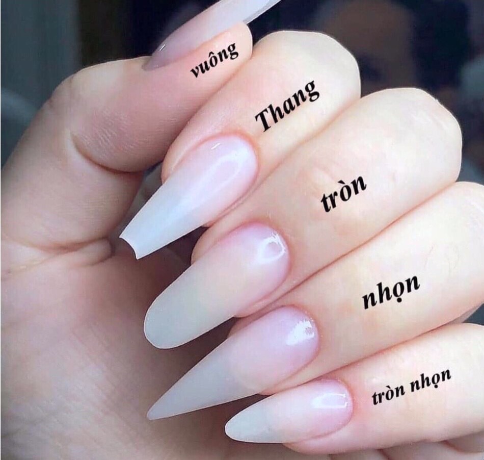 A13/ móng tay giả thiết kế/nailbox (tặng kèm keo, dũa)