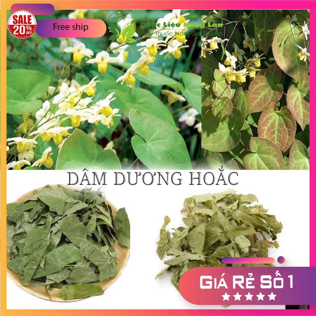 [FreeshipMAX] [HCM]Lá Dâm Dương Hoắc khô 1kg
