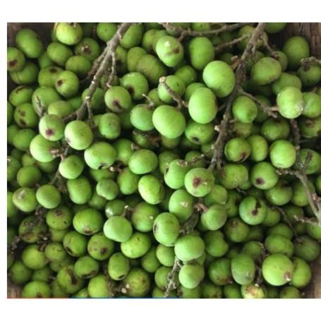 500gr Quả sung khô thái lát thơm ngon