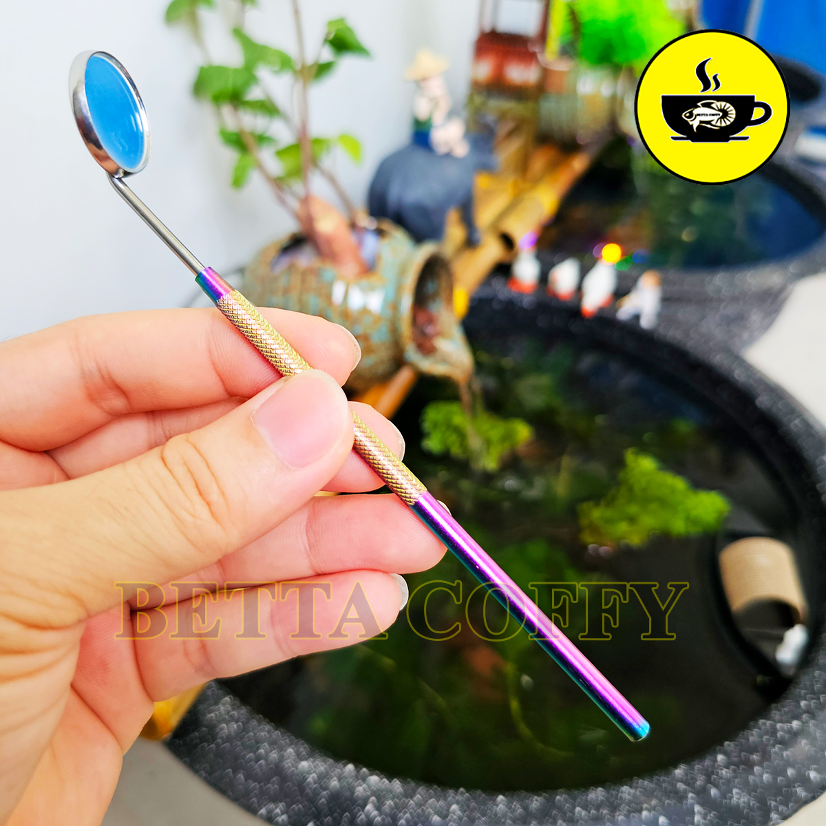 Kính kè cá - gương kè - cây kè cá betta lóc la hán huấn luyện cá sung trang trí bể cá