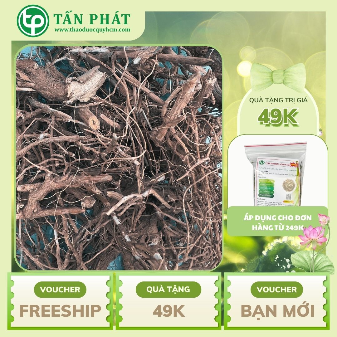 Rễ cà gai leo khô 1kg - Thảo Dược Tấn Phát