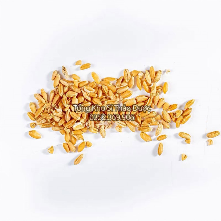 Lúa Mì 500g