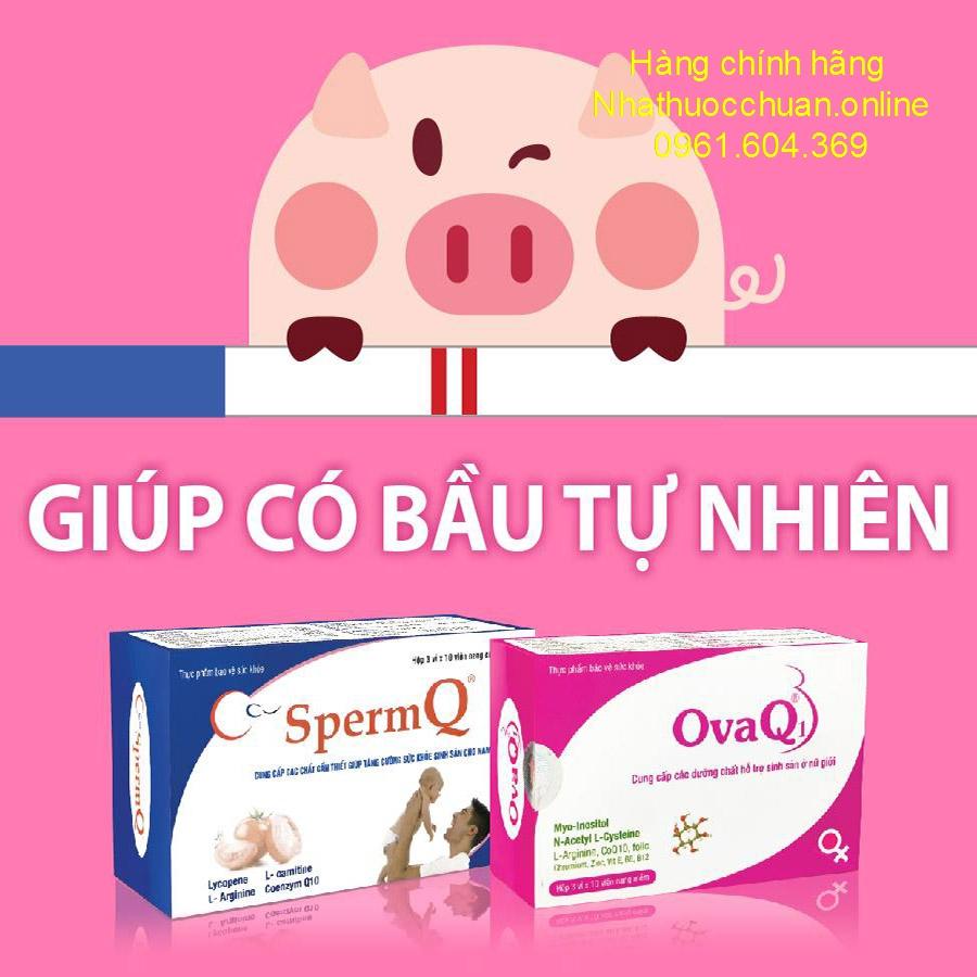 Ova Q1 (hộp 30 viên) OVAQ1