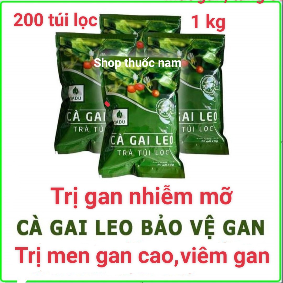 TRÀ TÚI LỌC CÀ GAI LEO SADU 1KG