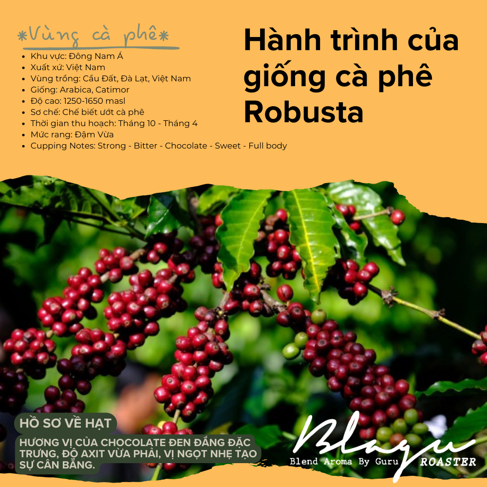 Cà Phê Blagu Hạt Đã Rang Robusta Honey - Medium Roast - Túi 250g,500g,1kg