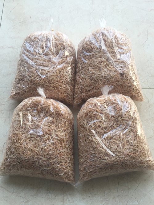 [combo 2 gói 500gram] - RUỐC KHÔ / TÉP KHÔ ĐẶC SẢN ĐÀ NẴNG