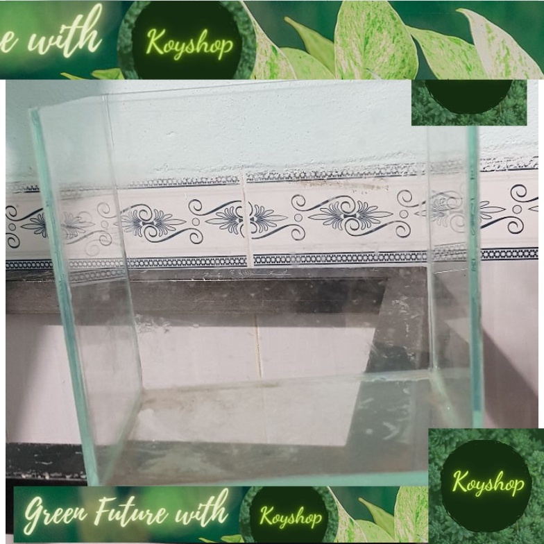 (HỎA TỐC HCM) BỂ CÁ MINI Hồ Cá mini Hồ Cá BETTA Để bàn 15x10x15. -BẢO HÀNH VỠ DO VẬN CHUYỂN