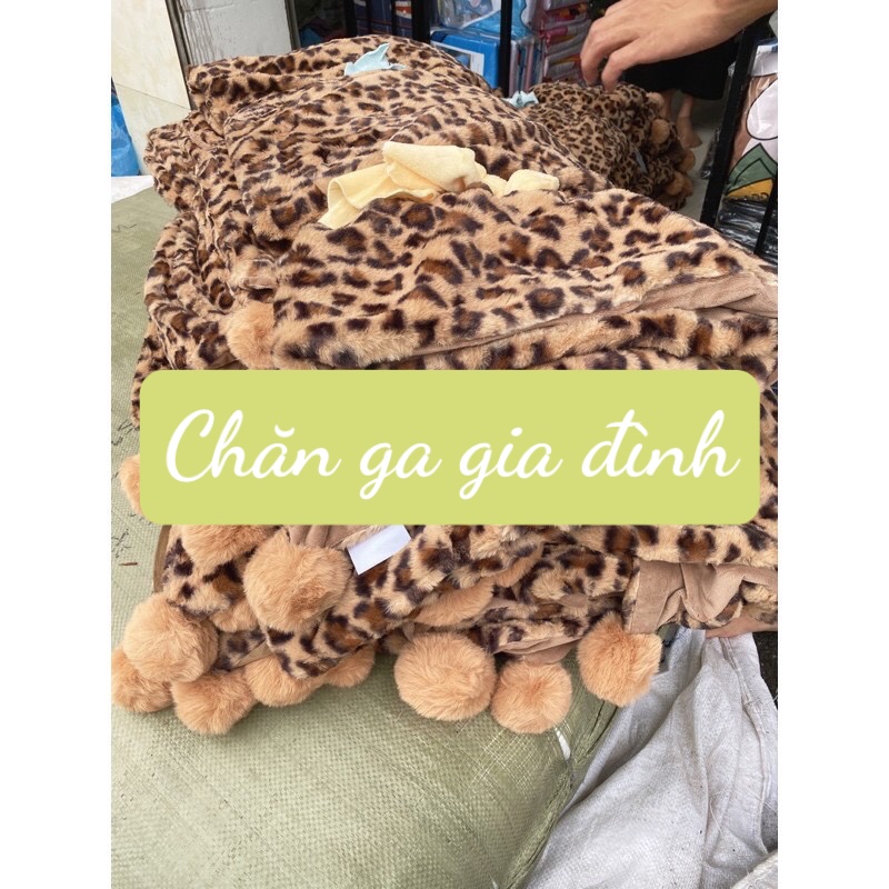 CHĂN LÔNG THỎ HỌA TIẾT DA BÁO