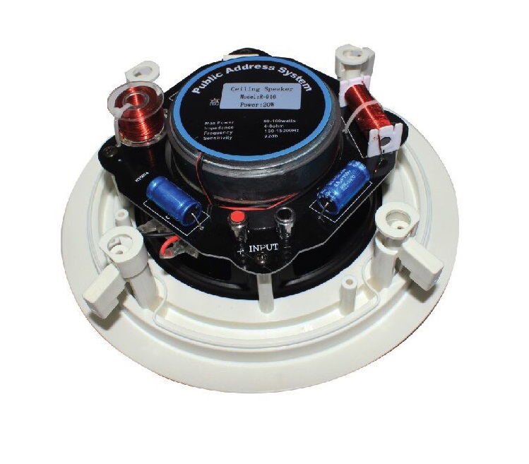 Loa âm tường Hi-Fi Ceiling Speaker R-916