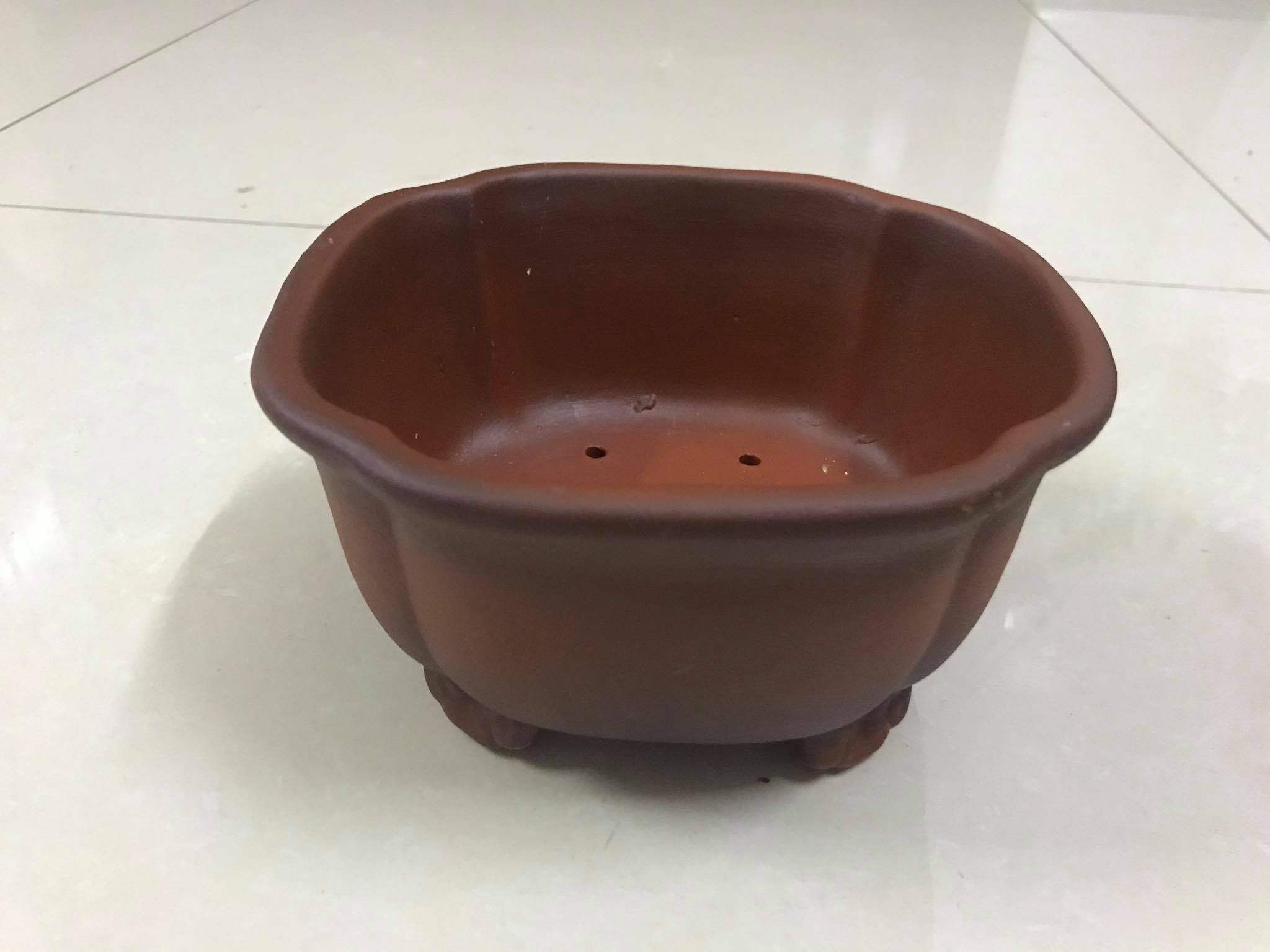 CHẬU MINI 01 - ÁNG MÂY